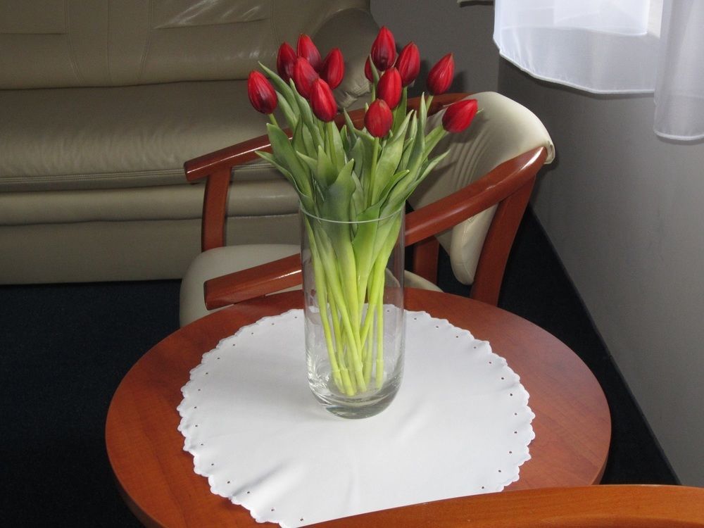 Hotel Jaworzyna Krynicka Krynica Zdroj Εξωτερικό φωτογραφία